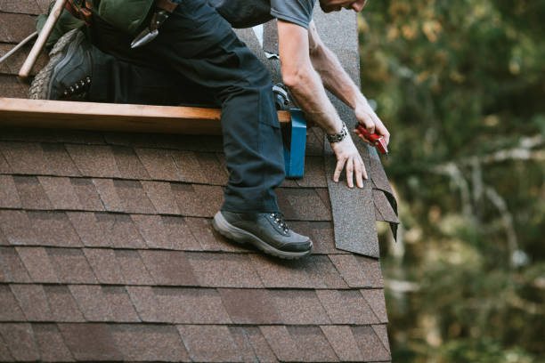 Best Roof Gutter Cleaning  in Eldorado, TX